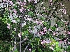 -梅赛德斯奔驰文化中心·停车场