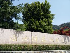 -铁山坪森林公园