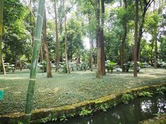 -成都杜甫草堂博物馆