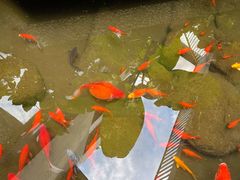 -泉乐坊步行街(烟酒特产平价超市店)