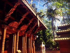 iphone_upload_pic-布里斯班南岸公园