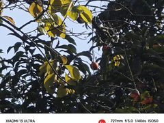 -灵隐飞来峰景区