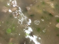 -协和菜馆(凤凰街店)