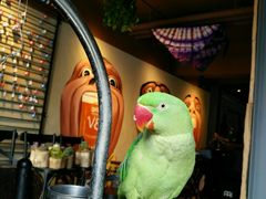大堂-大理岛·精品云南菜·音乐餐厅