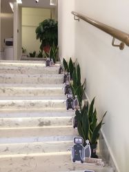 点击看大图 -海涛医疗美容·面部抗衰·注射美鼻