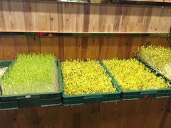 -森谷美食公园(杨行店)