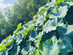 -云龙湖旅游景区