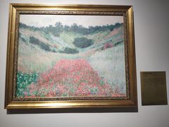 -印象莫奈时光映迹艺术展