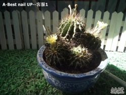 归宿-A-Best nail UP时尚美甲沙龙