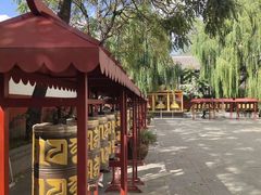-护国法轮寺