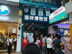 -猫咪博物馆(顶澳仔猫街店)