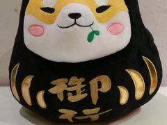 -柴务处·柴犬主题狗咖