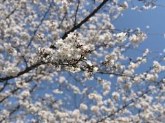 -龙美术馆西岸馆-停车场