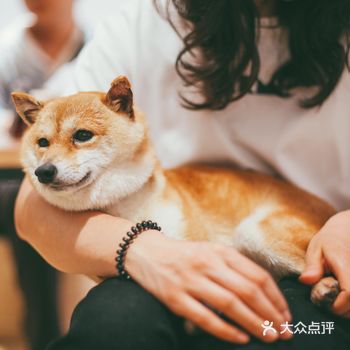 撸柴的大家基本就席地而坐,店主会根据客人的多少