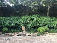 -杭州黄龙洞