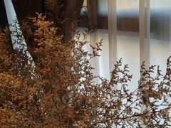 -泰合玺·精油疗愈SPA(狮山天街生活广场店)