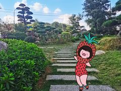 -贵阳高新惠诚食品有限公司