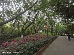 -长安公园
