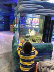 -酷嗒动物文化乐园(cutezoo西溪乐天城店)