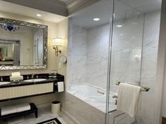 -澳门威尼斯人综合度假区