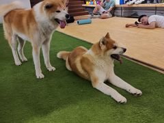 -YCHL Studios健身工作室(市二宫店)