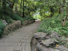 -吴山景区