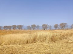 -野鸭湖国家湿地公园