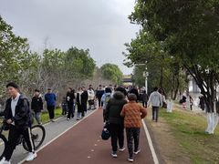 -艾溪湖湿地公园