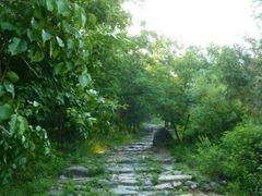 -阳台山自然风景区