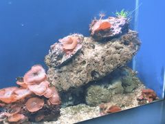-常州海昌海洋探索馆