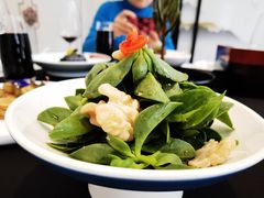 醋汁田七苗-逸道(益丰·外滩源店)