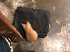 -时光转角咖啡馆(西康路店)