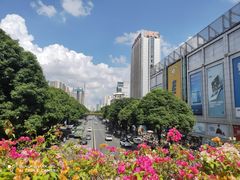 -南宁南湖公园