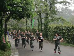 -铁山坪森林公园