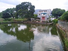 -叶挺将军纪念园