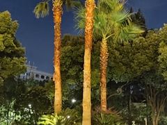 -上海汾阳花园酒店
