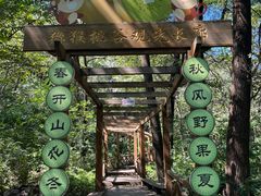-大岭沟猕猴桃谷风景区