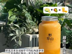 -野萃山·潮汕厚果汁(十亩地店)