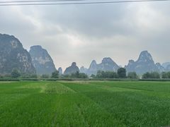 -明仕田园