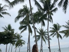 -Sunset Bar(丹绒亚路香格里拉店)