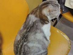 -谜盒子奇幻密室(南屏店)