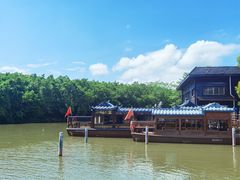 -大湾区中央湿地公园