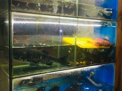 水产区-浔味·山屿湖·正宗淳牌全鱼宴老字号