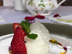 -蝶舍·MAISON PAPILLON