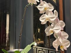 -湖滨客舍·湖北菜