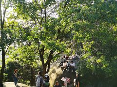 -火炉山森林公园