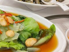 生菜-潮人姐妹轩(海宁路店)