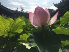 -宝光寺