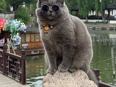 -观桥阁(锦溪店)