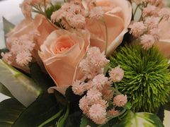 -双井轩(双井店)